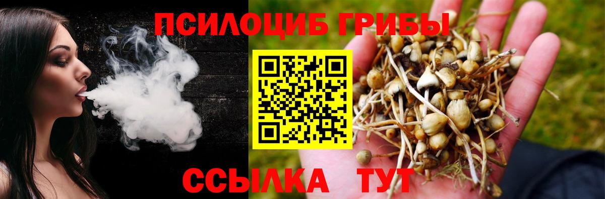 Псилоцибиновые грибы прущие грибы  Вход с VPN  Псилоцибиновые грибы GOLDEN TEACHER  Новокуйбышевск 